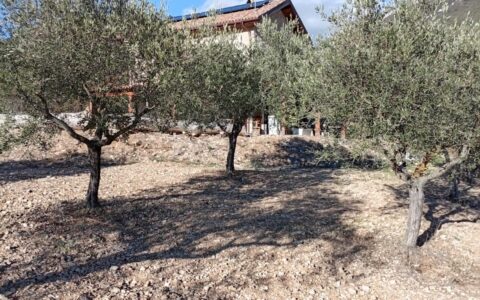 Antico Frantoio di San Giovanni - Capestrano